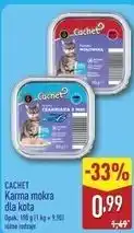 ALDI CACHET Karma mokra dla kota oferta