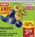 ALDI Śliwki polskie oferta