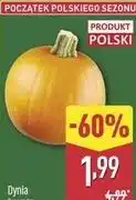 ALDI Dynia oferta