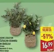 ALDI HOME CREATION Sztuczne drzewka w doniczce oferta