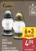 ALDI CALIX Znicz kula oferta