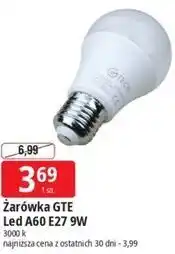 E.Leclerc Żarówka GTE Led A60 E27 9W oferta