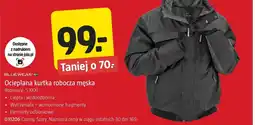 Jula Kurtka robocza Bluewear oferta