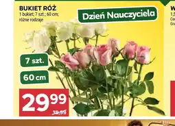Stokrotka Market Bukiet róż oferta