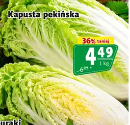 Prim Market Kapusta pekińska oferta