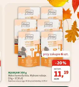 Maxi Zoo Mokra karma dla kota MjAMjAM oferta