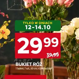 Stokrotka Bukiet róż oferta