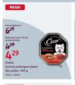 Rossmann Karma pełnoporcjowa dla psów Cesar oferta