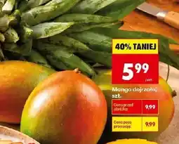 Biedronka Mango oferta