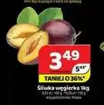 Delfin Śliwki węgierki oferta