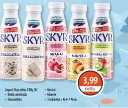 DUO-TES Jogurt Skyr pitny oferta