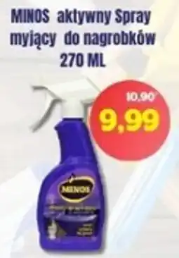 Hale Banacha Spray myjący do nagrobków MINOS oferta