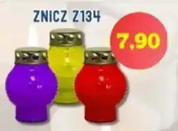 Hale Banacha Znicz Z134 oferta