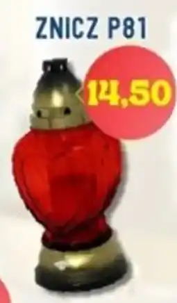 Hale Banacha Znicz P81 oferta