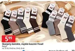 E.Leclerc Skarpety damskie, męskie kaszmir Pesail Patpol oferta