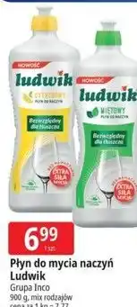 E.Leclerc Płyn do mycia naczyń Ludwik oferta