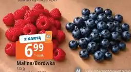E.Leclerc Malina/Borówka oferta