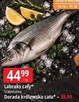 E.Leclerc Labraks cały Scapmaree / Dorada królewska cała oferta