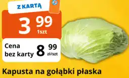 E.Leclerc Kapusta na gołąbki płaska oferta