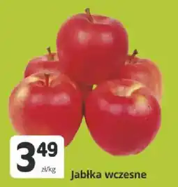 Marketvita Jabłka wczesne oferta