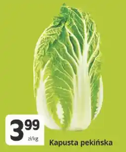 Marketvita Kapusta pekińska oferta