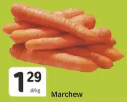 Marketvita Marchew oferta