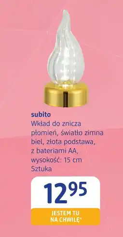 dm drogerie markt Wkład do zniczy Subito oferta