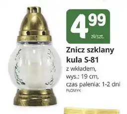 Marketvita Znicz szklany kula S-81 z wkładem Płomyk oferta