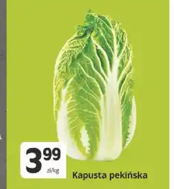 Marketvita Kapusta pekińska oferta