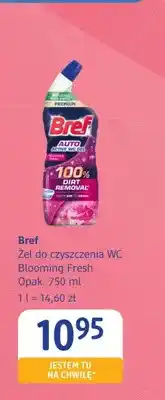 dm drogerie markt Żel do czyszczenia WC Blooming Fresh Bref oferta