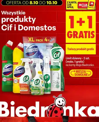 Biedronka Wszystkie produkty Cif i Domestos oferta