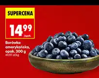 Borówka amerykańska