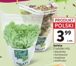 Intermarche Sałata batawska, karbowana, masłowa, multicolor Z Sadów i Pól oferta