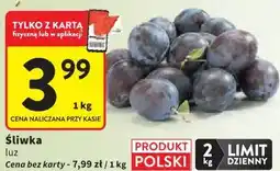 Intermarche Śliwka luz oferta