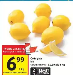 Intermarche Cytryna luz oferta