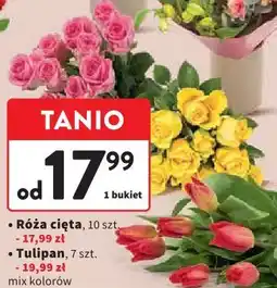 Intermarche Kwiaty cięte (Róża cięta, Tulipan) oferta