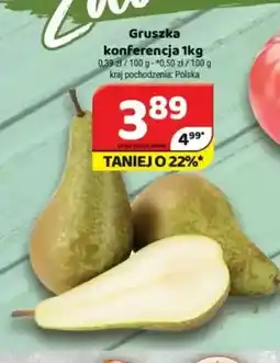 Delfin Gruszki konferencja oferta