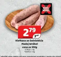 Delfin Kiełbasa ze świniobicia Madej Wróbel oferta