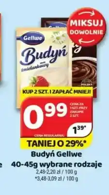 Delfin Budyń Gellwe czekoladowy oferta