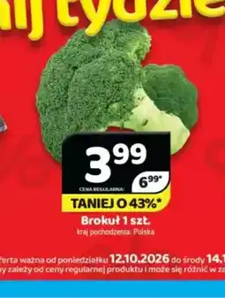 Delfin Brokuł oferta