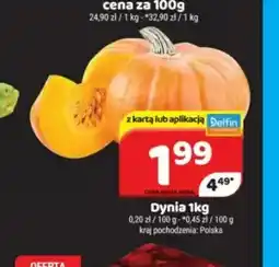 Delfin Dynia oferta