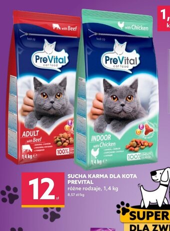 Dealz Sucha karma dla kota Prevital oferta