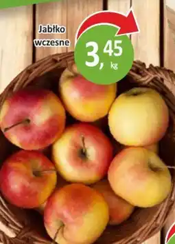 Passa Jabłko wczesne oferta