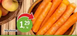 Passa Marchewka oferta