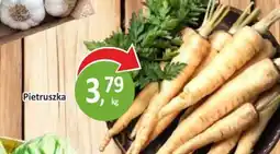 Passa Pietruszka oferta
