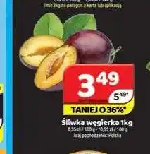 Delfin Śliwka węgierka oferta