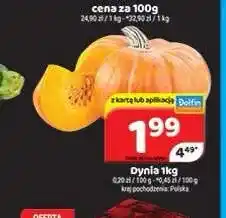Delfin Dynia oferta