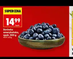 Biedronka Borówki amerykańskie oferta