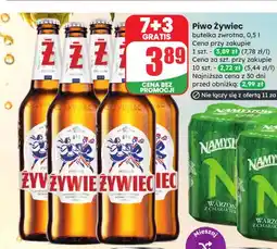 Dino Piwo Żywiec oferta