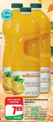 Dino Sok pomarańczowy Wosana oferta